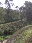 Imagen 025.jpg