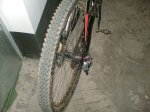 bici2.jpg