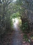 m_IMG_0581.jpg