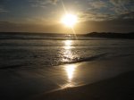 m_IMG_0654.jpg