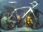 Madone.jpg
