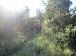 IMG_3573.JPG