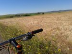20130511_102820.jpg