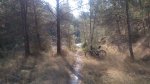 DSC_1078.jpg