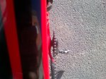 IMG-20131207-00385.jpg