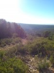 DSC_1929.JPG