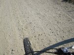 IMG_3638.JPG