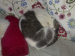 IMG-20130318-WA0014.jpg
