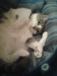 IMG-20130918-WA0006.jpg