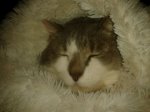 IMG-20131204-WA0019.jpg