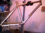 IMG-20131103-00165.jpg
