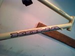 IMG-20131109-00185.jpg