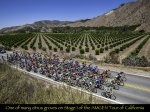 Cal2014DParksJul1200.jpg