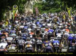 Cal2014DParksJun1200.jpg