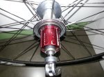 Zipp 3.jpg