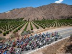ATOC2013_st02_Orchards.jpg