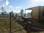 20131116_124505.jpg