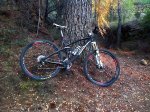CANYONNERVE29.jpg