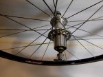 zipp 1.jpg