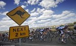 tdu13_kangaroo.jpg