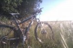 IMAG0567.jpg