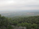 IMG_3998.JPG