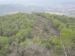 IMG_4000.JPG