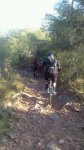 IMG-20131214-WA0005.jpg