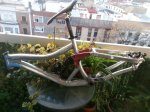 20131210_174712.jpg