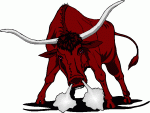 Toro.gif