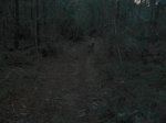DSC_0044.jpg