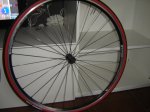 DSC00457.JPG