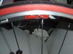 DSC00458.JPG
