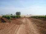 DSC00561.jpg
