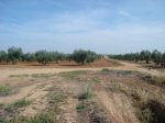 DSC00570.jpg