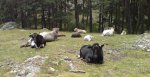 DSC00235.JPG