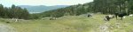 DSC00236.JPG
