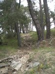 Fotos bike 037.jpg