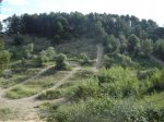 DSC00120.JPG