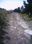 canencia morcuera 068.jpg