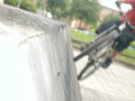 I.Ocio - Wallride.JPG