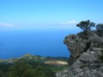 DSCN0361.jpg