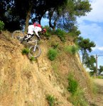 IMG_2263v3.jpg