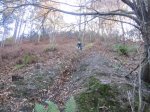 IMG_4001.JPG