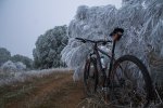 IMG_3354.jpg