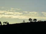 IMG_4073.JPG