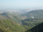 IMG_4089.JPG