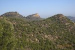 IMG_2905.JPG