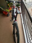 IMG-20131217-WA0008_450x600.jpg