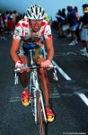 voigt98tdf.jpg